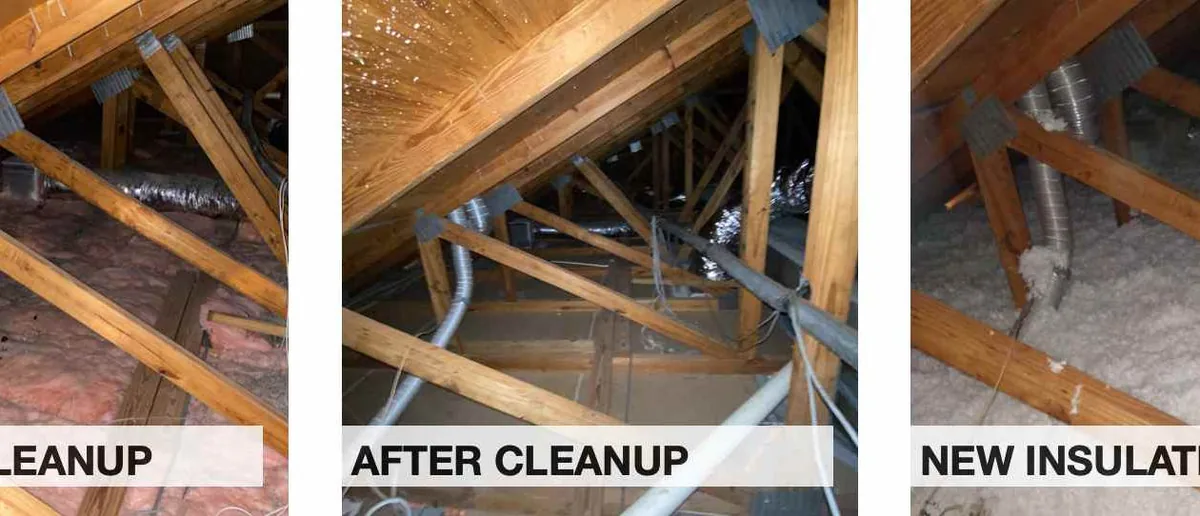 Attic Insulation